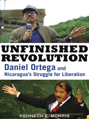 cover image of Unfinished Revolution